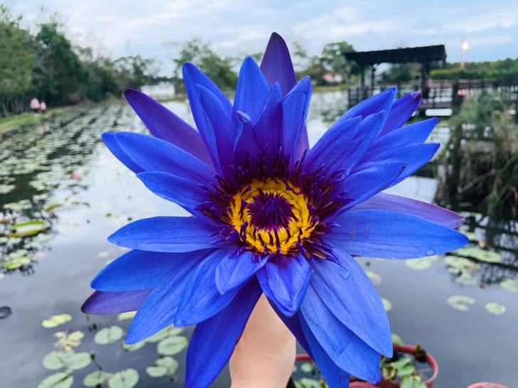 【金澤居】花蓮吉安親子住宿綠色隧道民宿花蓮放鬆行程下雨天的花蓮怎麼玩?