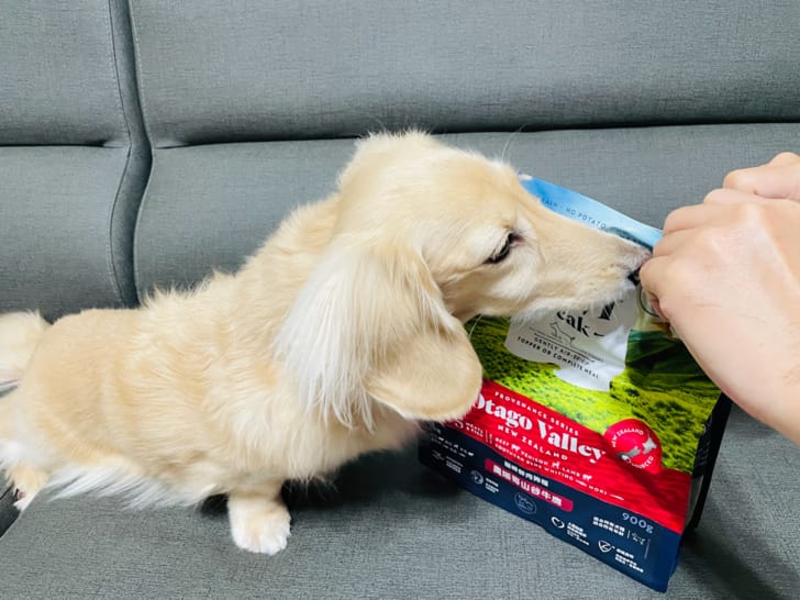 【ZIWI巔峰狗飼料】超強肉含量頂級飼料小臘腸咪咪一吃就愛上
