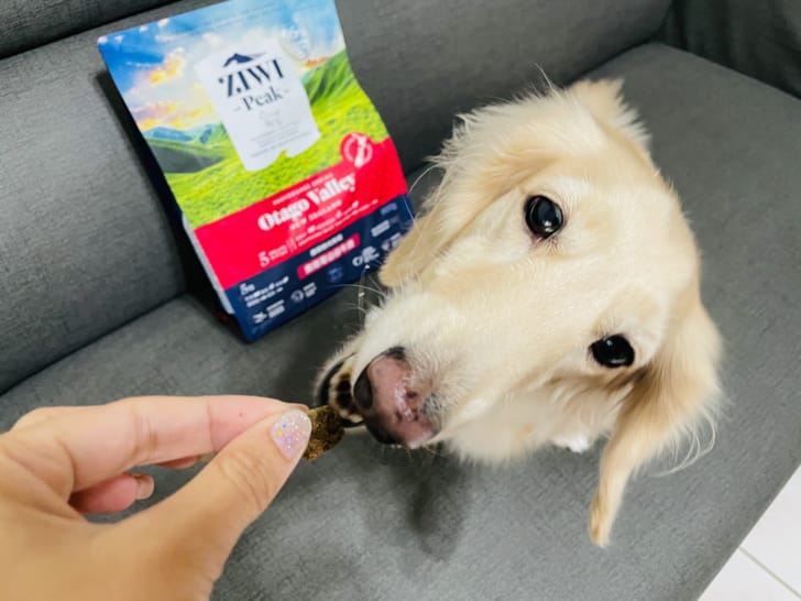 【ZIWI巔峰狗飼料】超強肉含量頂級飼料小臘腸咪咪一吃就愛上