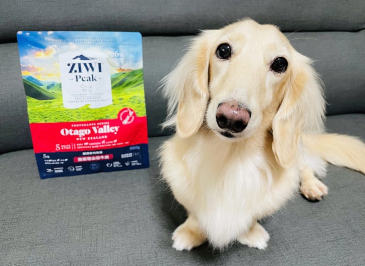 【ZIWI巔峰狗飼料】超強肉含量頂級飼料小臘腸咪咪一吃就愛上