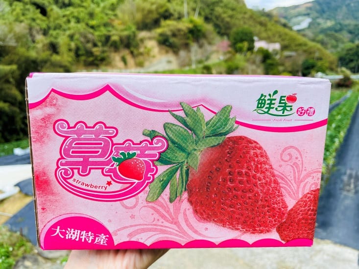 【興榮草莓園】隱藏在苗栗深山的草莓聖地超大顆草莓任你採