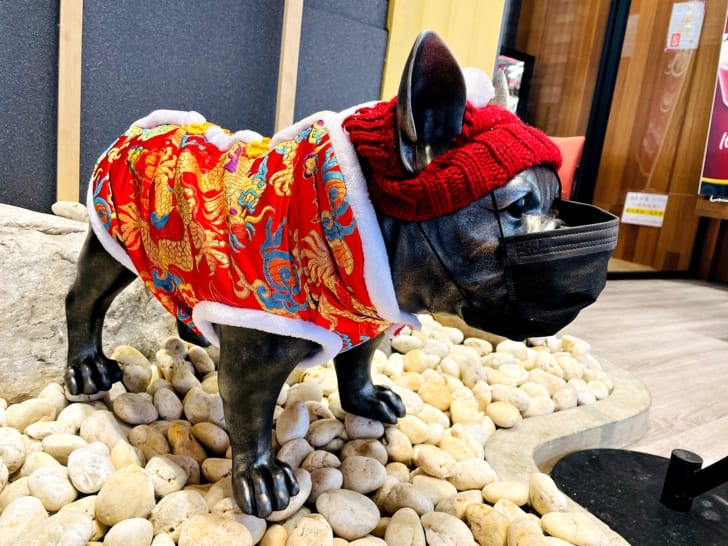 【饌澤原超市火鍋】桃園蘆竹特色火鍋拎菜籃食材拿到爽大啖錦繡龍蝦和佐渡花蟹!