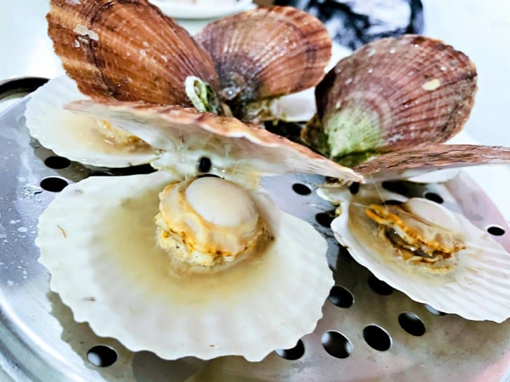 【二月牌沙茶爐】新莊溫體牛溫體豬巨大蒸籠海鮮塔新北新莊人氣汕頭火鍋