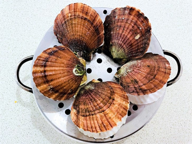 【二月牌沙茶爐】新莊溫體牛溫體豬巨大蒸籠海鮮塔新北新莊人氣汕頭火鍋