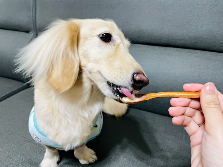 【美國Frigidaire富及第】-5度C冰淇淋機消暑冰淇淋自己DIY動手做自製冰淇淋免預冷即刻製作寵物也能吃的冰淇淋輕巧好攜帶露營神器