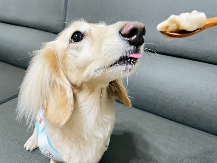 【美國Frigidaire富及第】-5度C冰淇淋機消暑冰淇淋自己DIY動手做自製冰淇淋免預冷即刻製作寵物也能吃的冰淇淋輕巧好攜帶露營神器