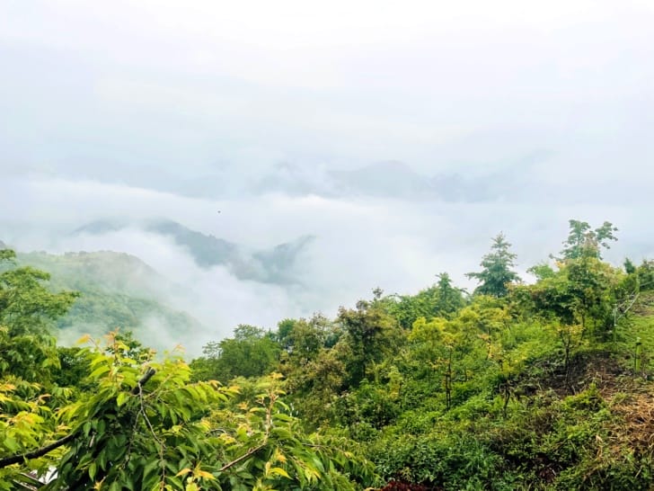 【事外桃源渡假山莊】南投清境熱門包棟民宿綠色雅築山景雙人房清境寵物毛小孩友善住宿到青青草原看綿羊秀不用十分鐘!