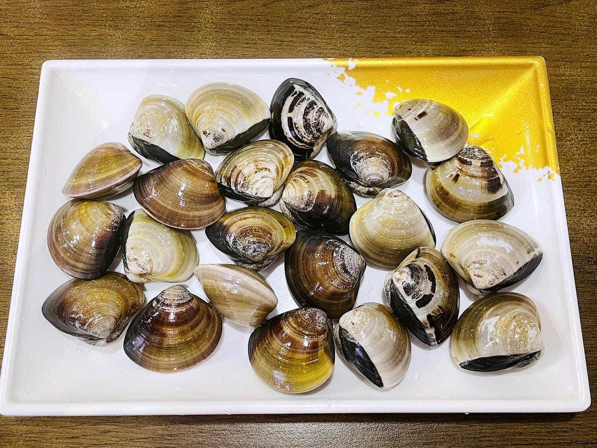 IMG_0904.JPG IMG_0904.JPG