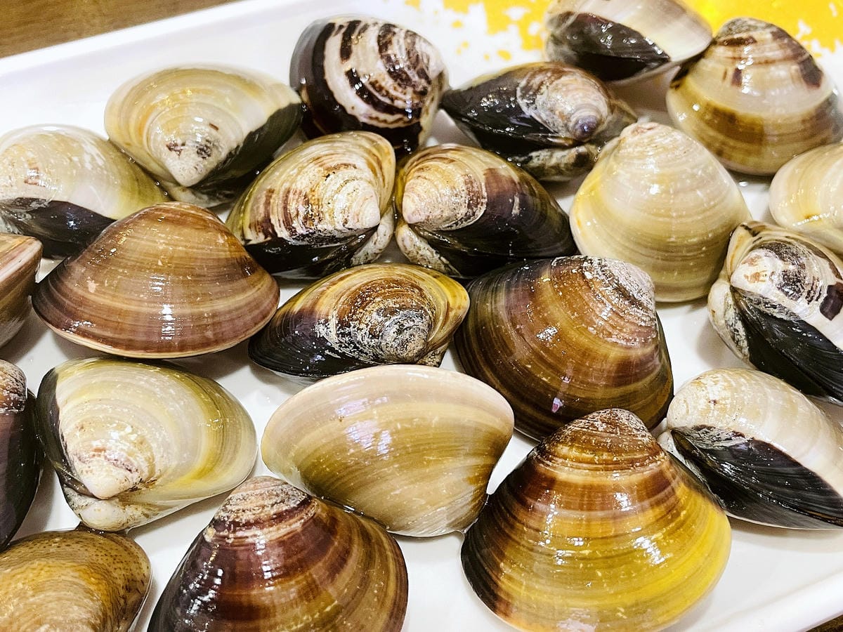 IMG_0905.JPG IMG_0905.JPG