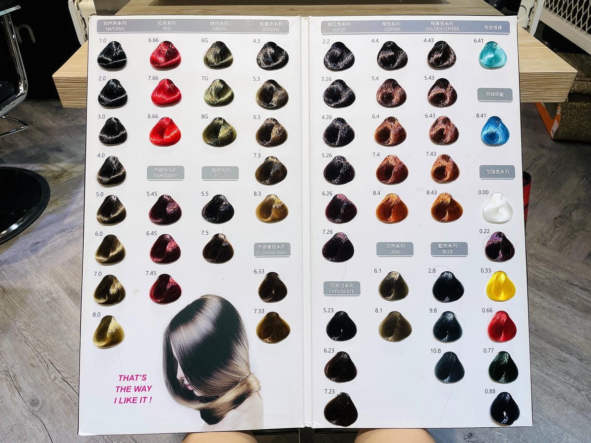 【InK Hair 內湖概念店】台北內湖髮廊「染髮護髮」推薦!免費『店貓按摩』實在太超值了!