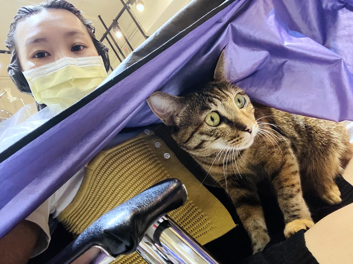 【InK Hair 內湖概念店】台北內湖髮廊「染髮護髮」推薦!免費『店貓按摩』實在太超值了!