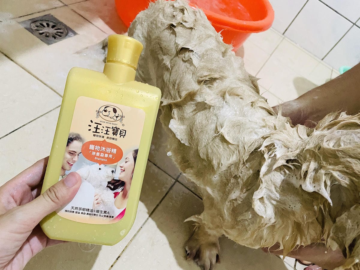 IMG_3388狗狗洗毛精推薦_汪汪寶貝.JPG