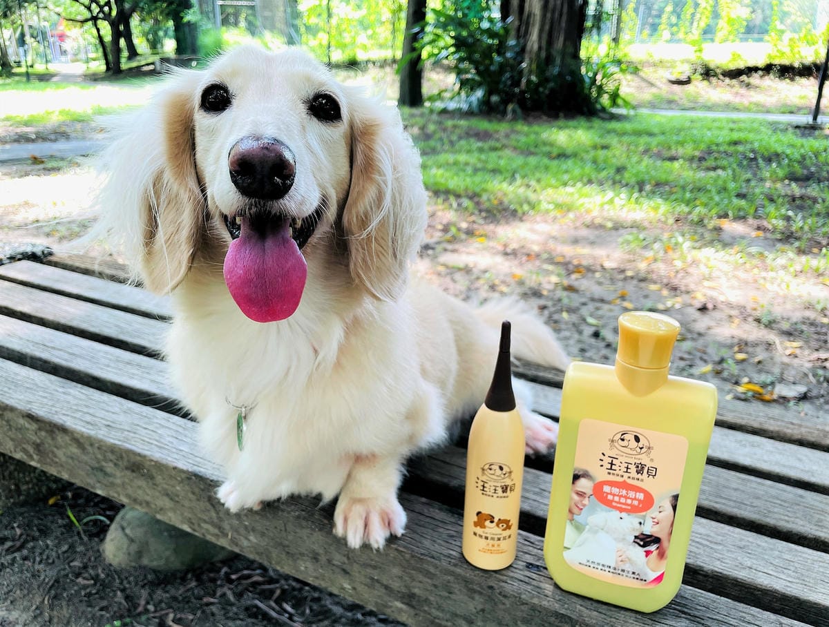 IMG_3180狗狗洗毛精推薦_汪汪寶貝.JPG