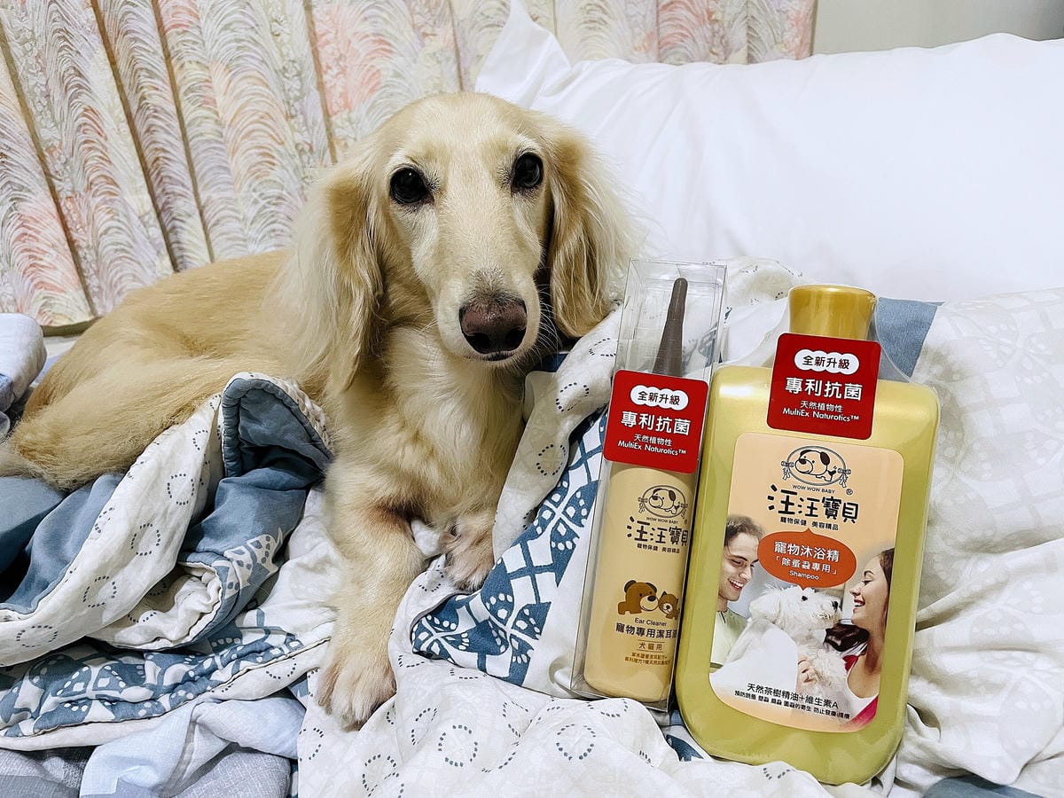 IMG_3179狗狗洗毛精推薦_汪汪寶貝.JPG
