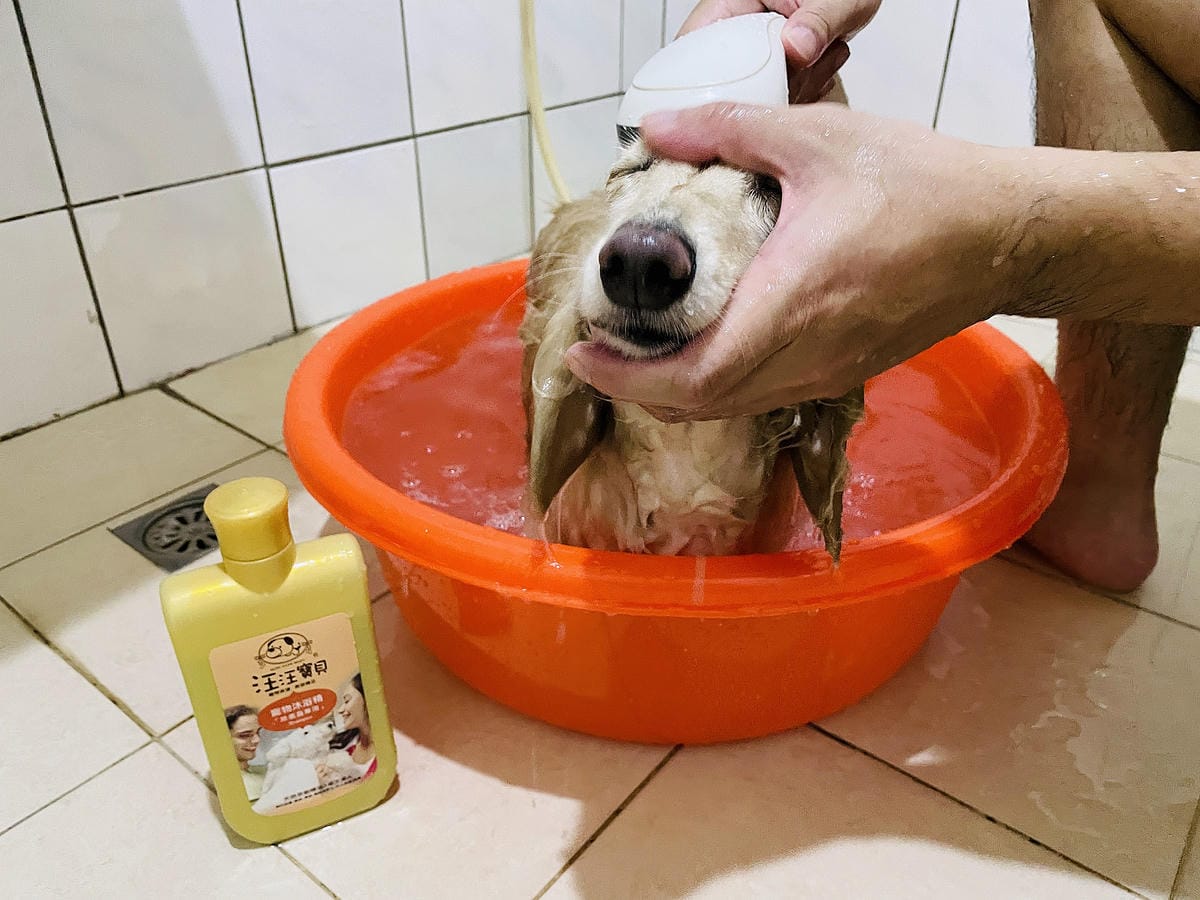 IMG_3408狗狗洗毛精推薦_汪汪寶貝.JPG