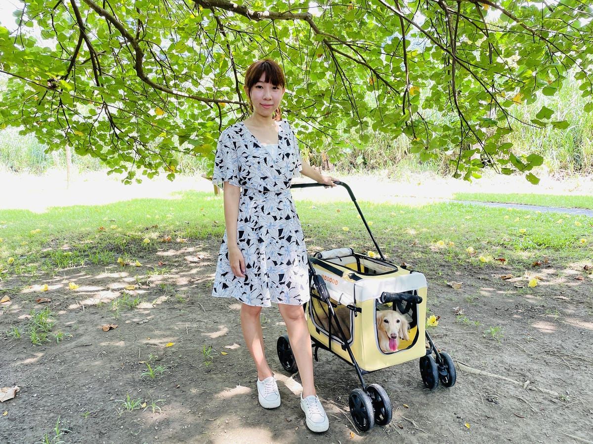 【摸肚肚MODODO】GOGOBOX小立方寵物推車『小臘腸咪咪』狗生第一台『豪華推車』!毛小孩外出散步必備