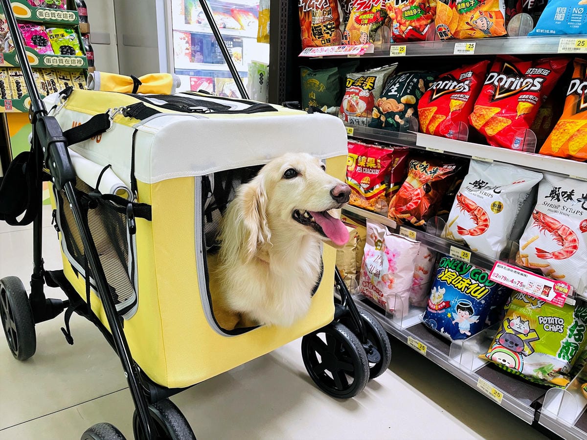【摸肚肚MODODO】GOGOBOX小立方寵物推車『小臘腸咪咪』狗生第一台『豪華推車』!毛小孩外出散步必備