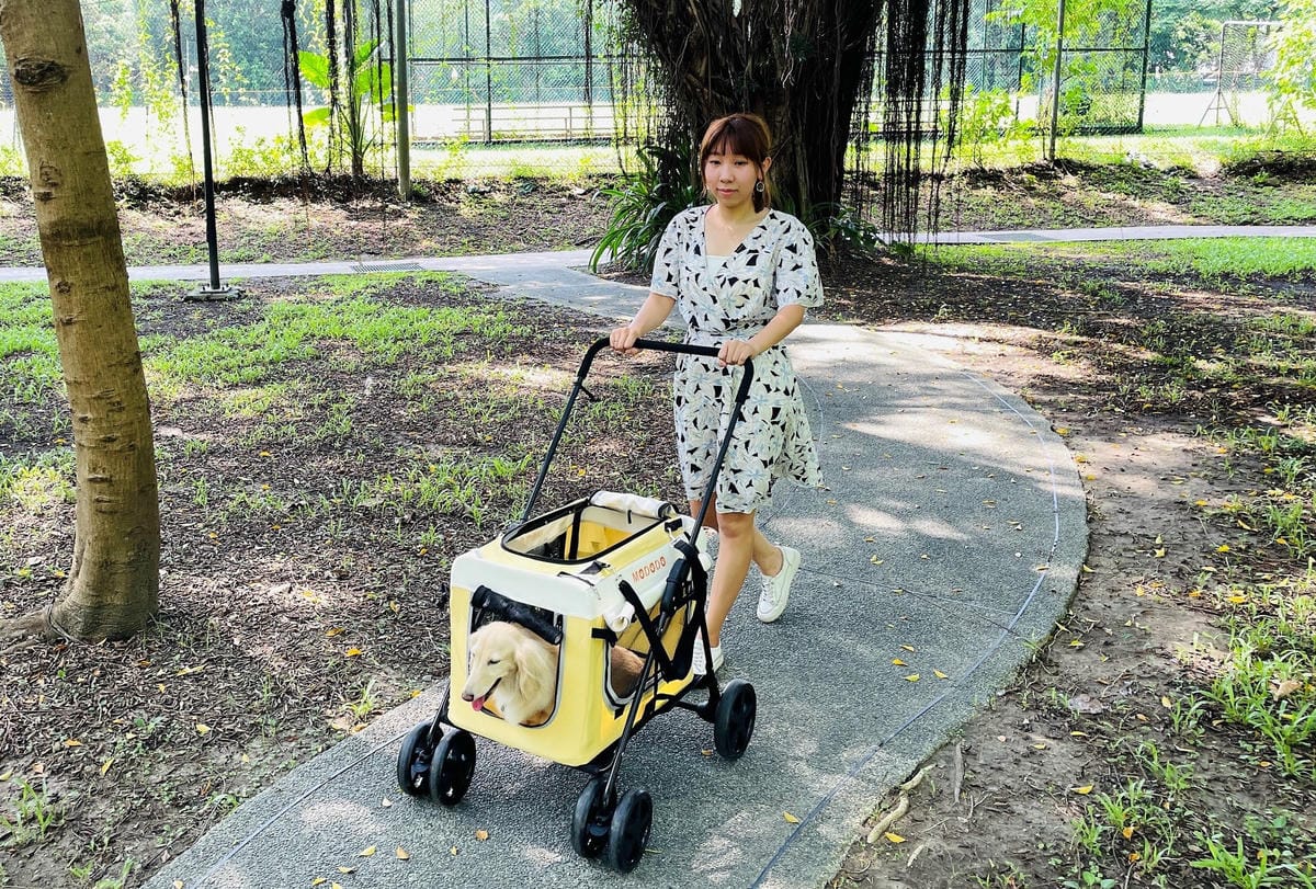 【摸肚肚MODODO】GOGOBOX小立方寵物推車『小臘腸咪咪』狗生第一台『豪華推車』!毛小孩外出散步必備