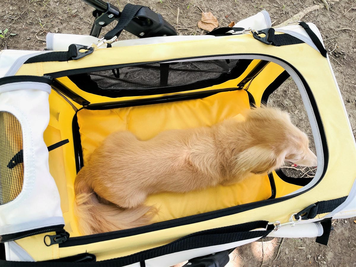 【摸肚肚MODODO】GOGOBOX小立方寵物推車『小臘腸咪咪』狗生第一台『豪華推車』!毛小孩外出散步必備