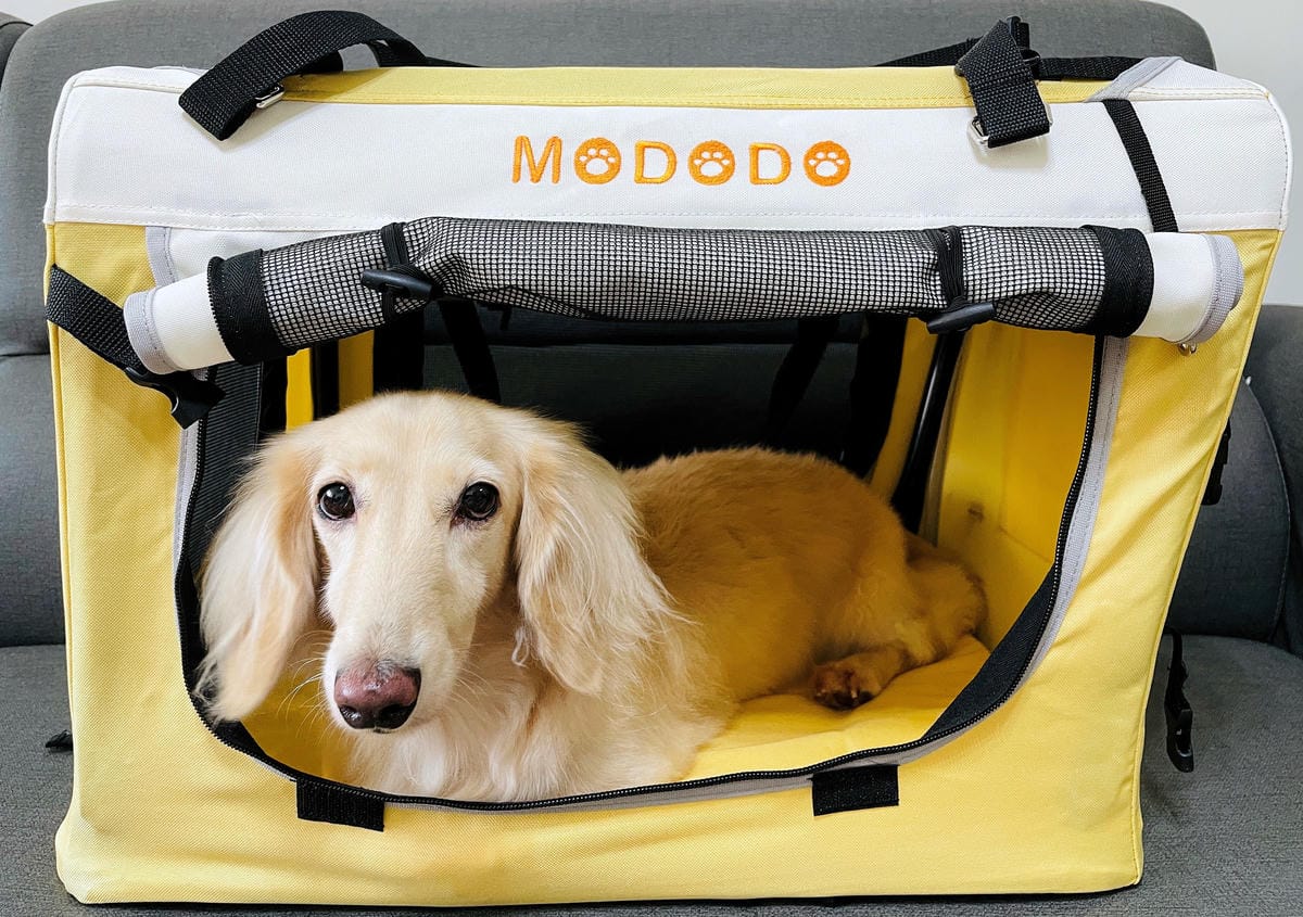 【摸肚肚MODODO】GOGOBOX小立方寵物推車『小臘腸咪咪』狗生第一台『豪華推車』!毛小孩外出散步必備