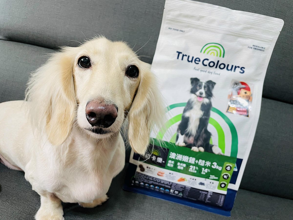 【初卡樂True Colours】狗飼料推薦!『澳洲羔羊糙米』、『澳洲嫩雞糙米』,來自澳洲的健康營養配方小臘腸咪咪愛吃的美味狗糧!
