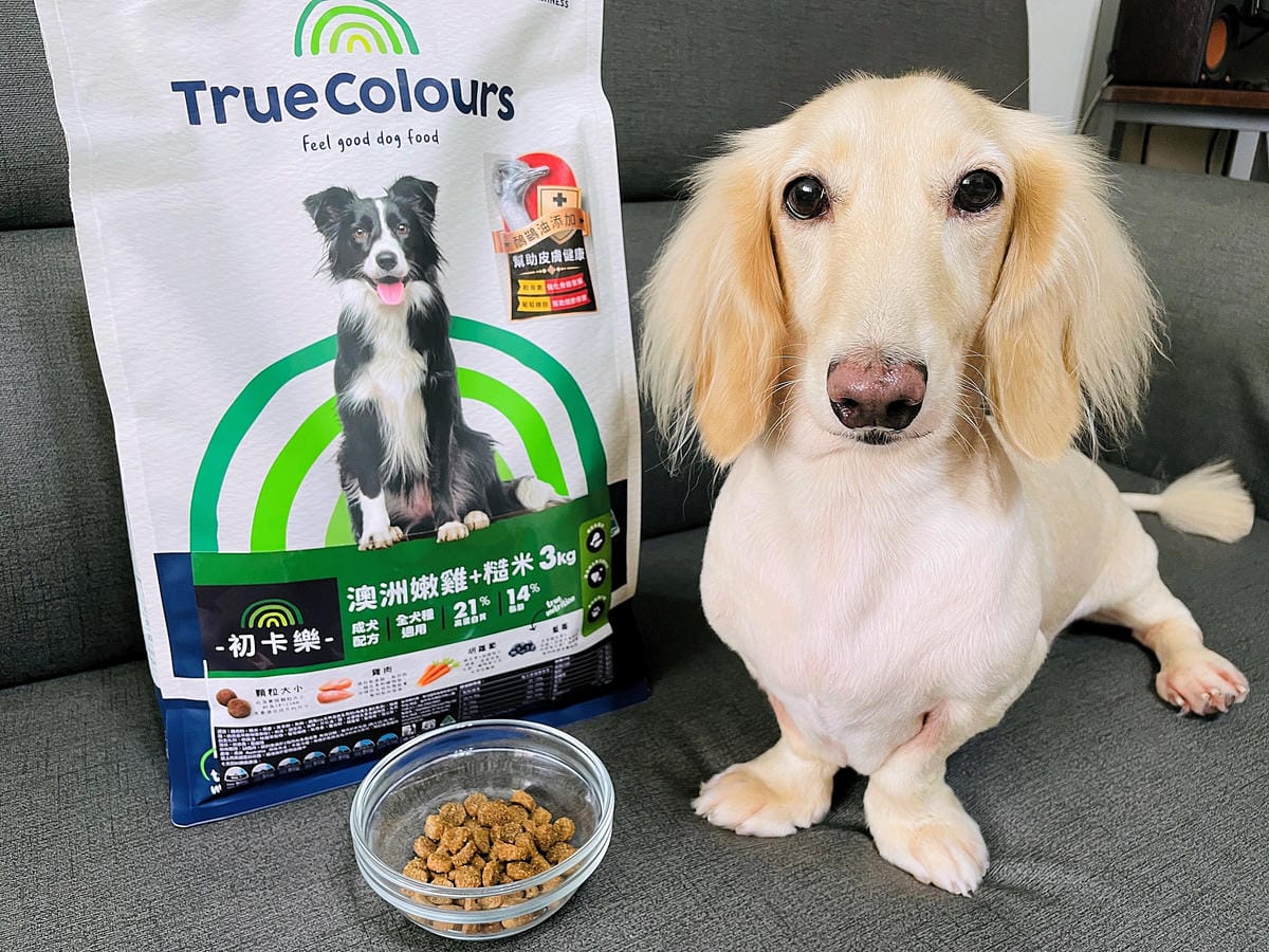 【初卡樂True Colours】狗飼料推薦!『澳洲羔羊糙米』、『澳洲嫩雞糙米』,來自澳洲的健康營養配方小臘腸咪咪愛吃的美味狗糧!