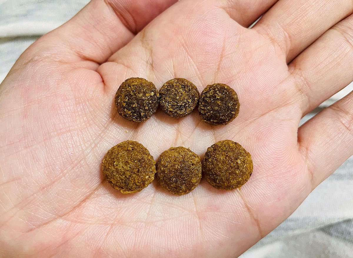 【初卡樂True Colours】狗飼料推薦!『澳洲羔羊糙米』、『澳洲嫩雞糙米』,來自澳洲的健康營養配方小臘腸咪咪愛吃的美味狗糧!