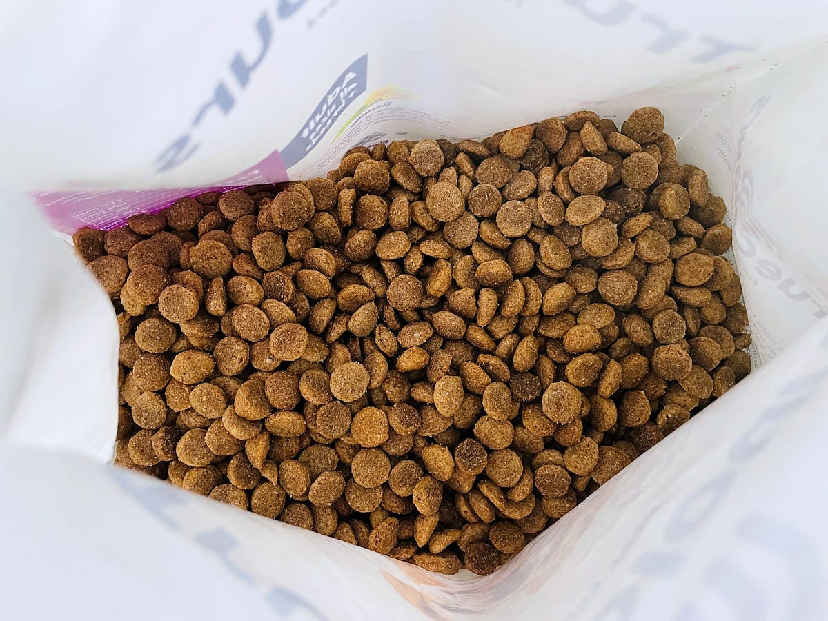 【初卡樂True Colours】狗飼料推薦!『澳洲羔羊糙米』、『澳洲嫩雞糙米』,來自澳洲的健康營養配方小臘腸咪咪愛吃的美味狗糧!