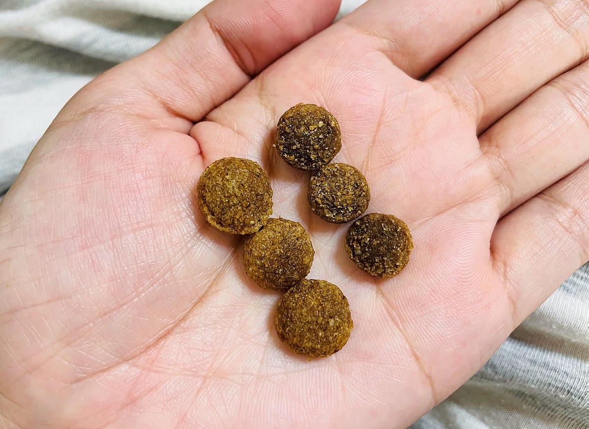 【初卡樂True Colours】狗飼料推薦!『澳洲羔羊糙米』、『澳洲嫩雞糙米』,來自澳洲的健康營養配方小臘腸咪咪愛吃的美味狗糧!