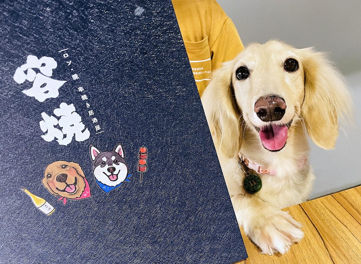 【容燒居酒屋】松山區居酒屋-台北寵物友善餐廳!毛孩專屬肉串吃起來帶小臘腸咪咪出門吃寵物串燒!