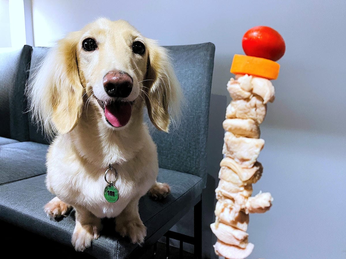 【容燒居酒屋】松山區居酒屋-台北寵物友善餐廳!毛孩專屬肉串吃起來帶小臘腸咪咪出門吃寵物串燒!