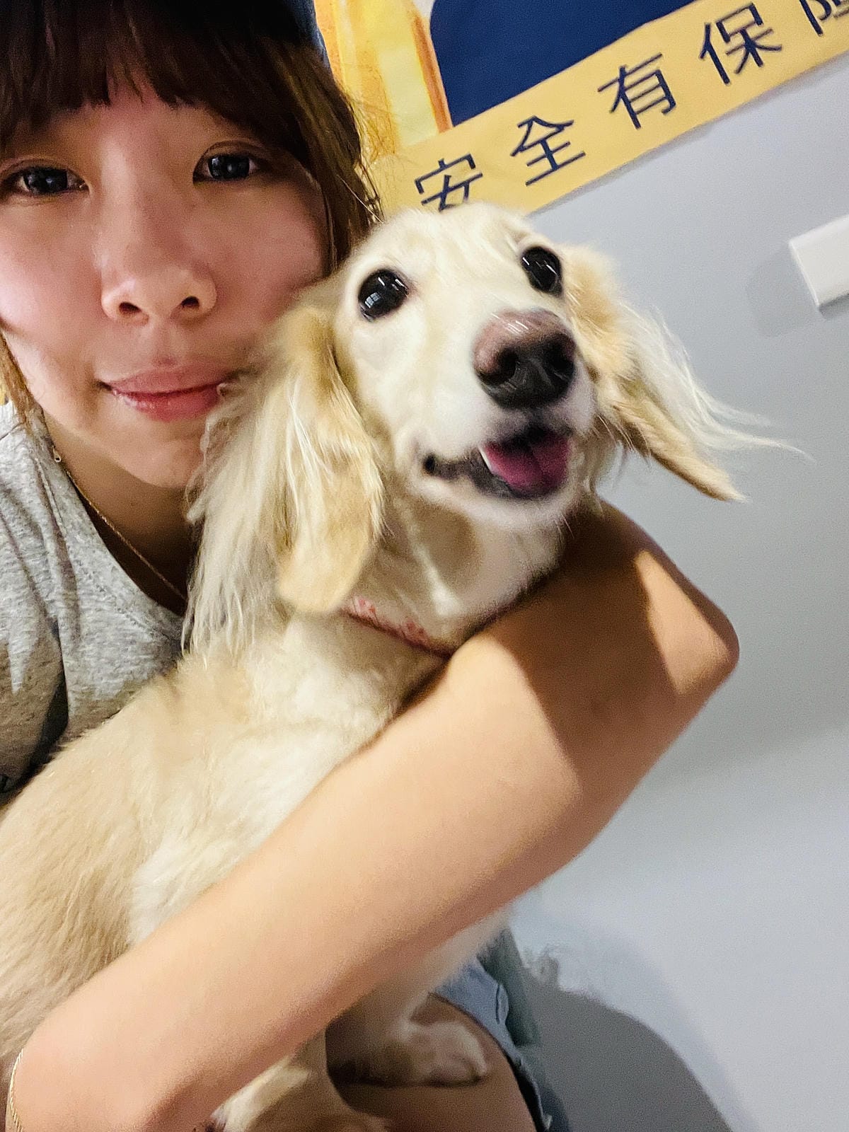 【容燒居酒屋】松山區居酒屋-台北寵物友善餐廳!毛孩專屬肉串吃起來帶小臘腸咪咪出門吃寵物串燒!