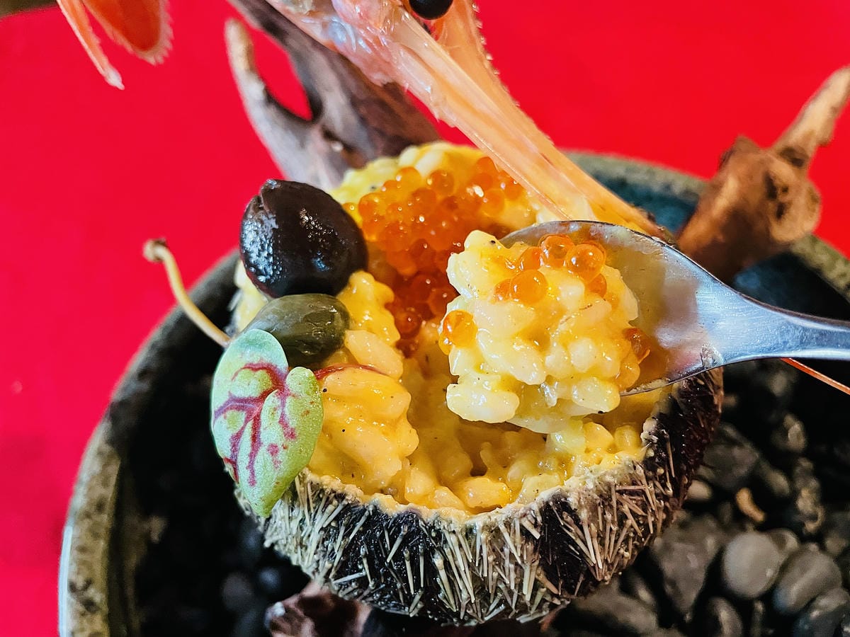 【ChiaoDuo House巧哚洋房】台北義大利餐廳推薦!藝術般美食饗宴,創意料理驚豔舌尖擄獲味蕾!