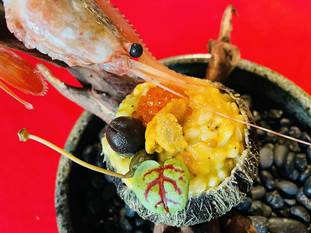 【ChiaoDuo House巧哚洋房】台北義大利餐廳推薦!藝術般美食饗宴,創意料理驚豔舌尖擄獲味蕾!