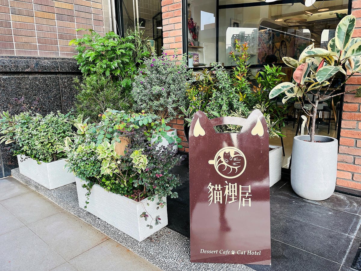 【貓裡居】萌貓咪爆擊『林口貓咖啡廳』『貓旅館』推薦!超療癒貓奴天堂盡情撸貓超好吃抹茶千層蛋糕!