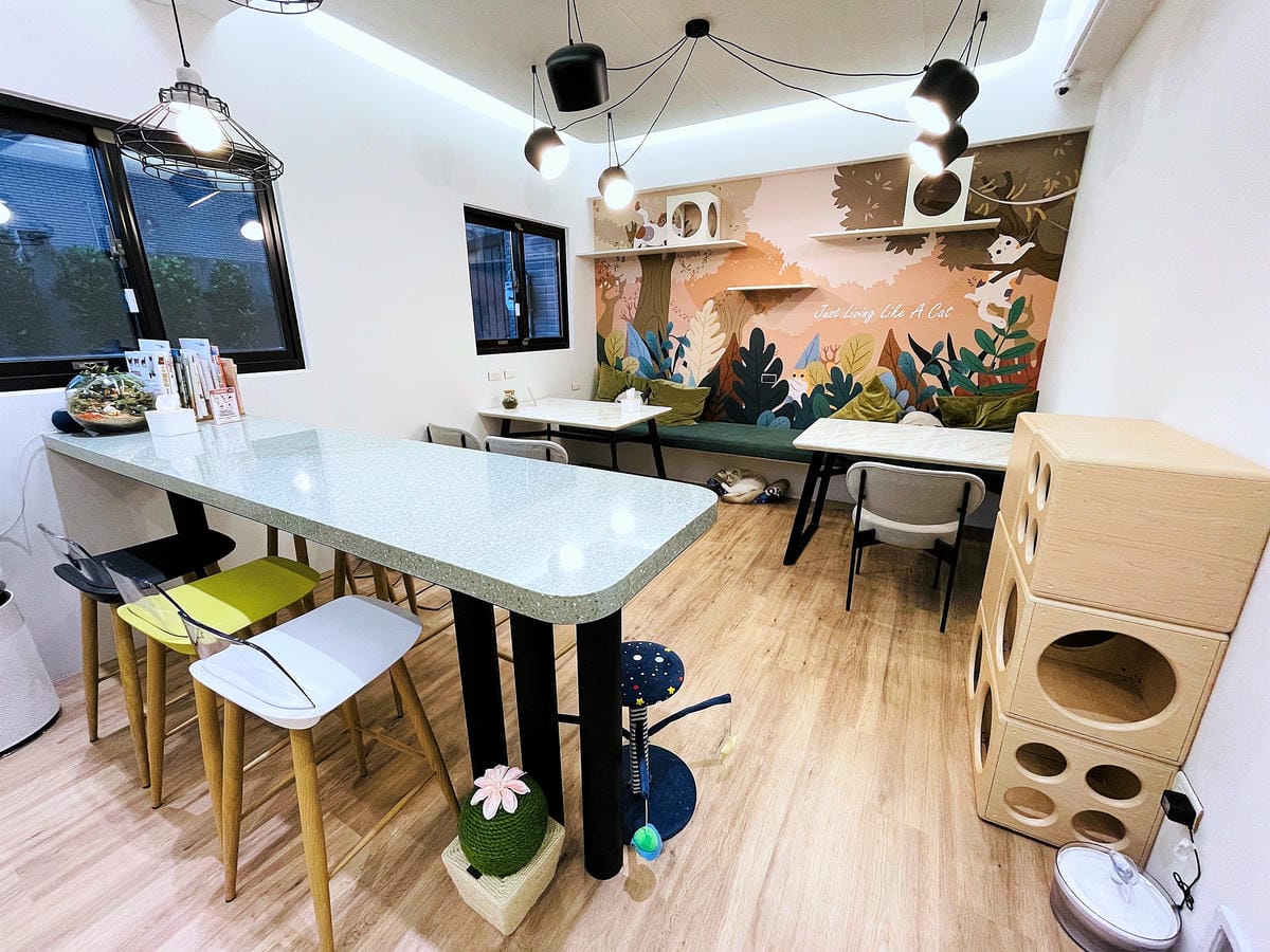 【貓裡居】萌貓咪爆擊『林口貓咖啡廳』『貓旅館』推薦!超療癒貓奴天堂盡情撸貓超好吃抹茶千層蛋糕!
