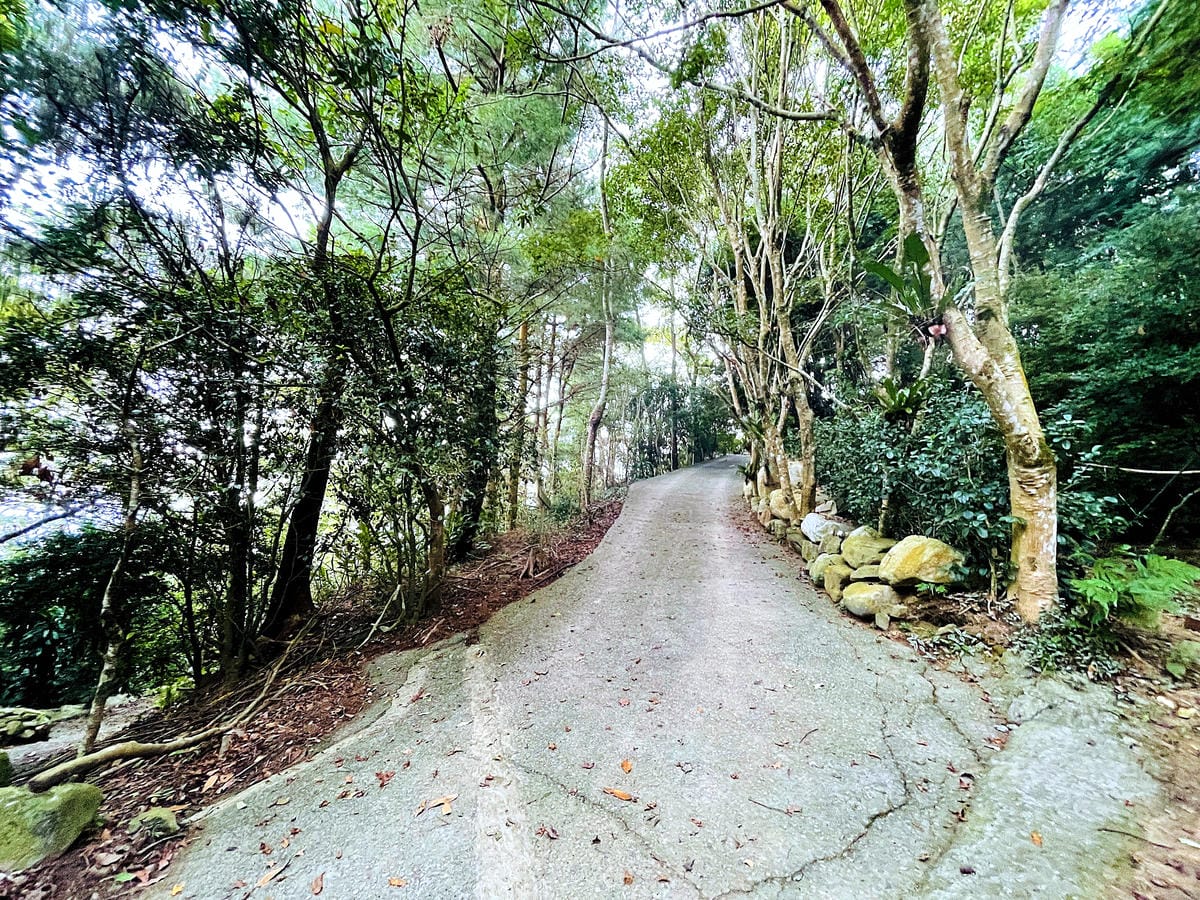 【若茵民宿Rollin】台中秘境 x 若茵石頭山雲海仙境,270度景觀盡收眼底,台灣中部私房景點「若茵農場」