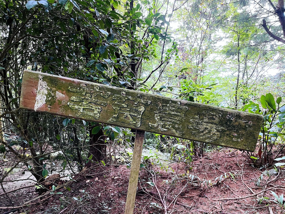 【若茵民宿Rollin】台中秘境 x 若茵石頭山雲海仙境,270度景觀盡收眼底,台灣中部私房景點「若茵農場」