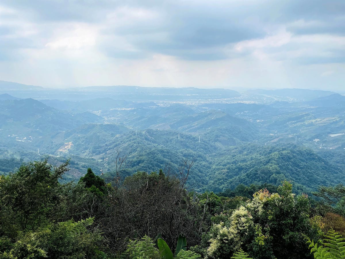 【若茵民宿Rollin】台中秘境 x 若茵石頭山雲海仙境,270度景觀盡收眼底,台灣中部私房景點「若茵農場」