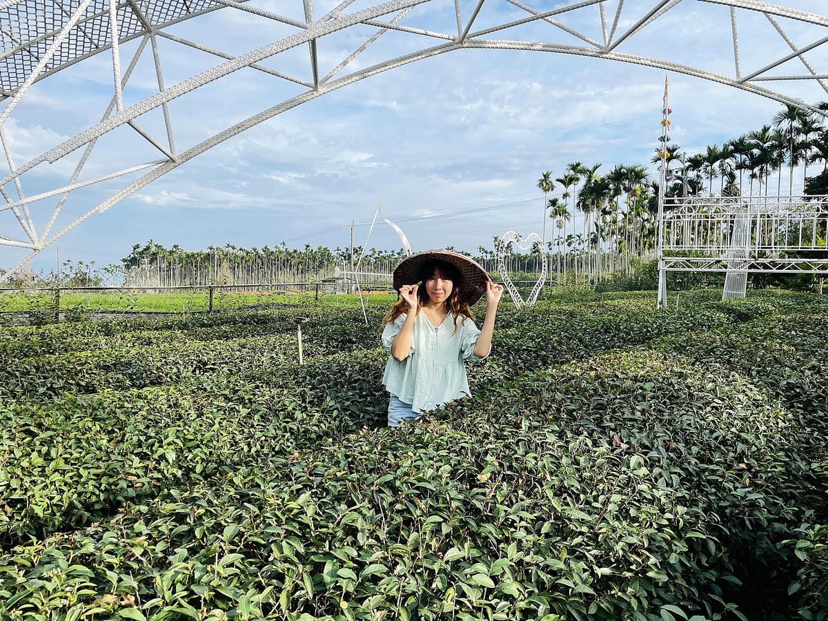 【茶二指故事館】南投名間熱門景點!巨型珍奶超好拍!買茶葉免費住「春秋茶事x彩虹水管屋」,獨家「白鷺紅茶拉麵」必吃!