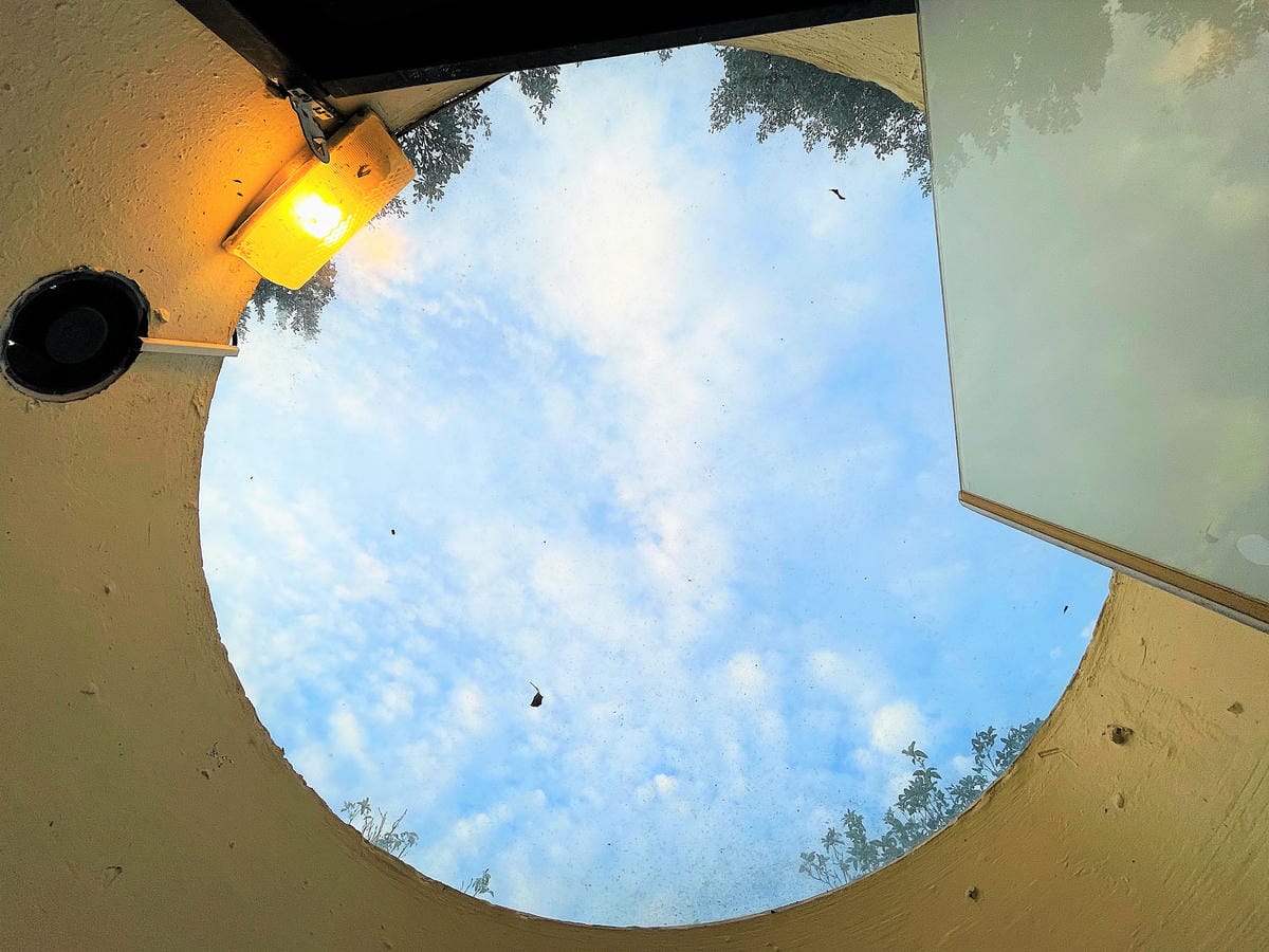 【茶二指故事館】南投名間熱門景點!巨型珍奶超好拍!買茶葉免費住「春秋茶事x彩虹水管屋」,獨家「白鷺紅茶拉麵」必吃!