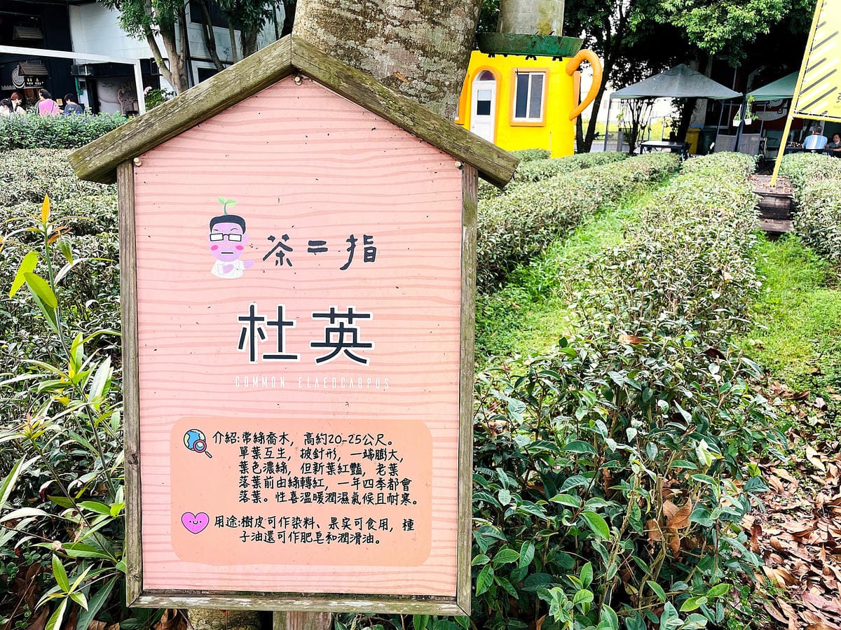 【茶二指故事館】南投名間熱門景點!巨型珍奶超好拍!買茶葉免費住「春秋茶事x彩虹水管屋」,獨家「白鷺紅茶拉麵」必吃!