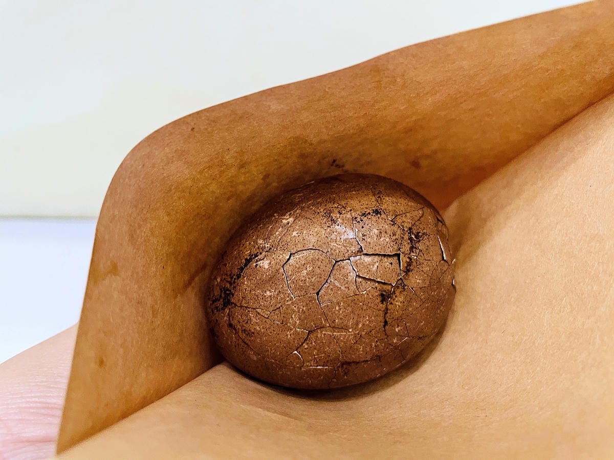 【茶二指故事館】南投名間熱門景點!巨型珍奶超好拍!買茶葉免費住「春秋茶事x彩虹水管屋」,獨家「白鷺紅茶拉麵」必吃!