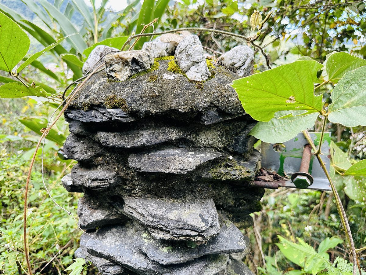 【蟬說:和社山林】教育中心四人房x手作體驗蟬說雅築x泡山林秘境溫泉深度走訪羅娜部落x體驗木杵敲擊梅子夢工廠x梅精酵素霜淇淋