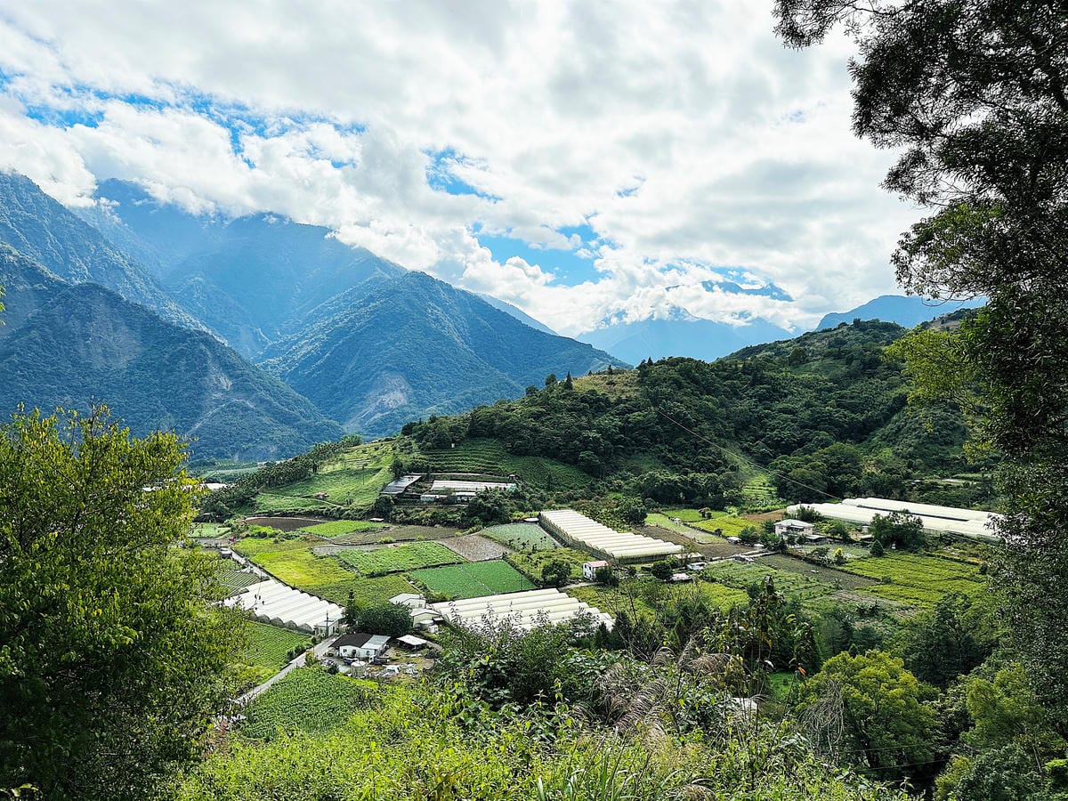 【蟬說:和社山林】教育中心四人房x手作體驗蟬說雅築x泡山林秘境溫泉深度走訪羅娜部落x體驗木杵敲擊梅子夢工廠x梅精酵素霜淇淋