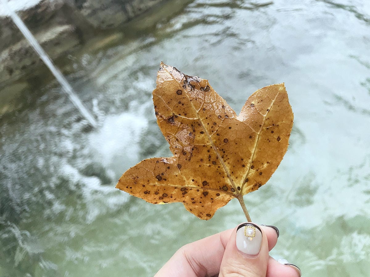 【蟬說:和社山林】教育中心四人房x手作體驗蟬說雅築x泡山林秘境溫泉深度走訪羅娜部落x體驗木杵敲擊梅子夢工廠x梅精酵素霜淇淋