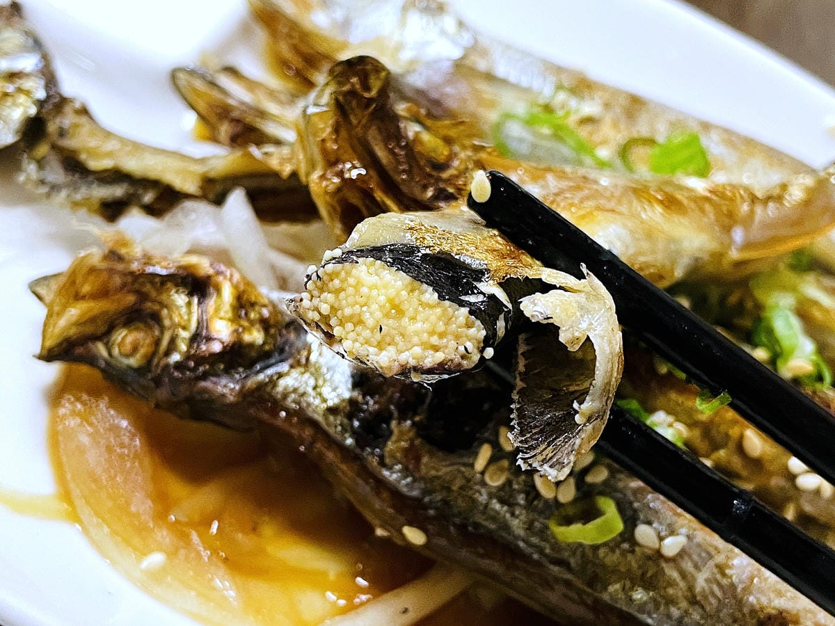 【鮨老大】台北中山區平價日式料理!捷運台北車站居酒屋推薦!399元酒類無限暢飲超划算烤物炸物串燒通通吃個過癮!