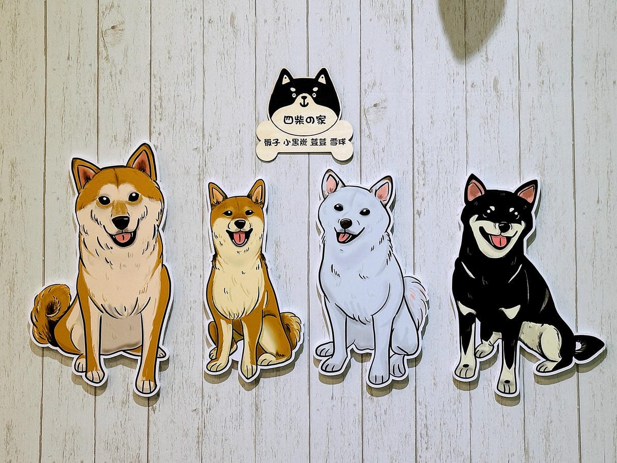 【私嚐の吃飯-北大店】超人氣咖喱手作飯北大特區餐廳推薦新北樹林寵物友善餐廳推薦!小咪咪吃高級寵物牛排餐