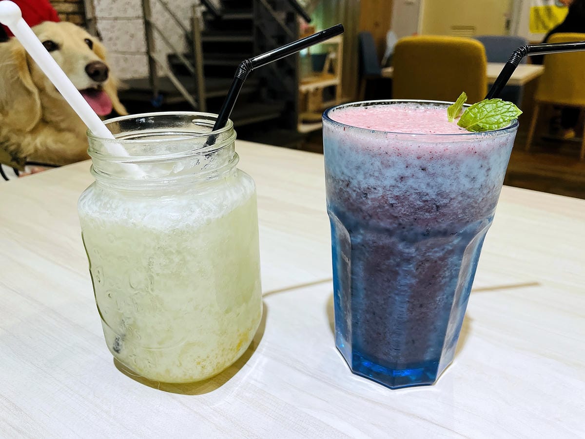 【私嚐の吃飯-北大店】超人氣咖喱手作飯北大特區餐廳推薦新北樹林寵物友善餐廳推薦!小咪咪吃高級寵物牛排餐