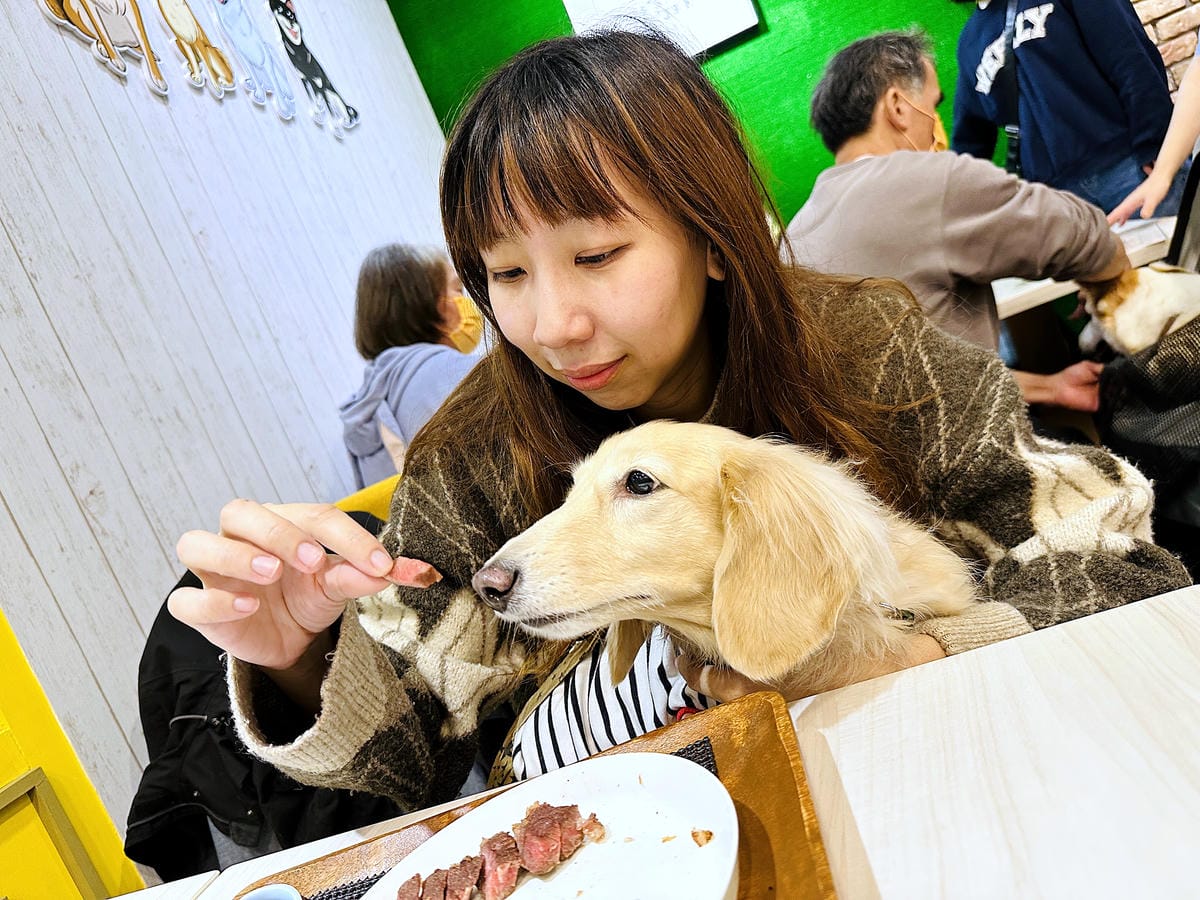 【私嚐の吃飯-北大店】超人氣咖喱手作飯北大特區餐廳推薦新北樹林寵物友善餐廳推薦!小咪咪吃高級寵物牛排餐